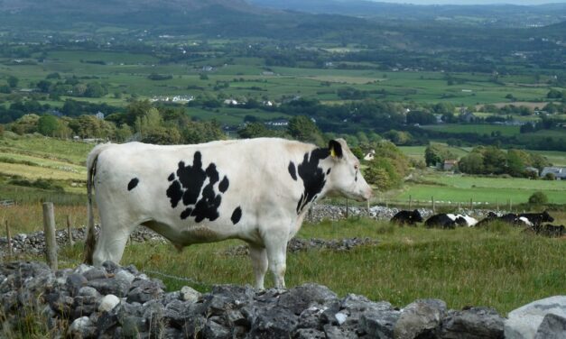 Croagh Patrick e Sligo