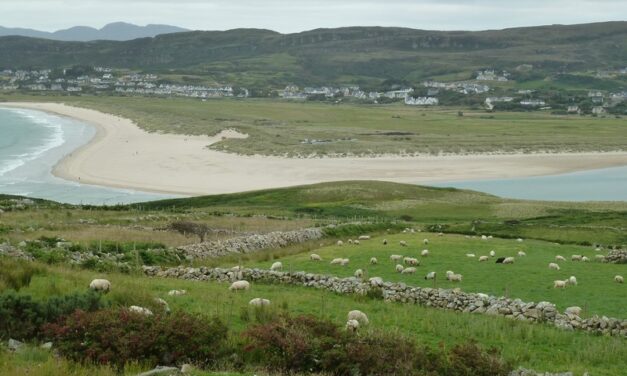 Profondo Donegal!