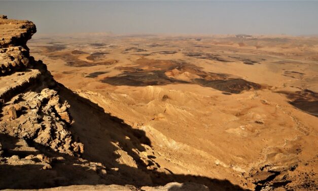 Deserto del Negev