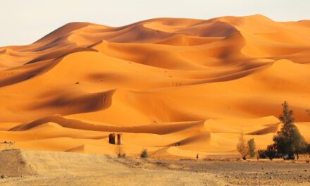 Il Deserto del Sahara