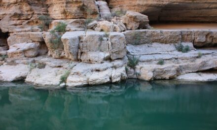 Wadi Shab, verso sud